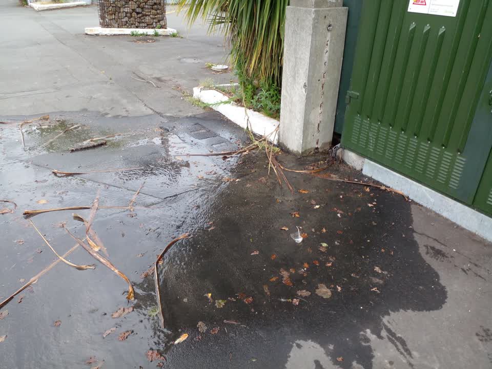 The photograph attached to this water leak report