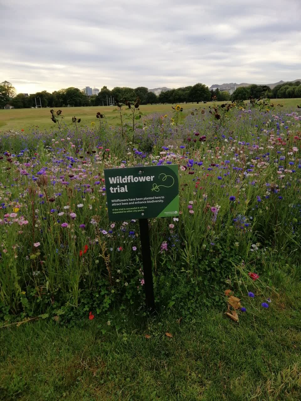 The photograph attached to this parks report