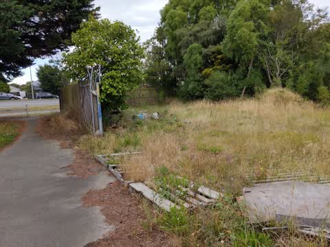 Rubbish/Recycling, a report photo