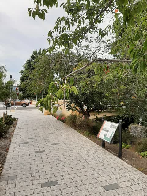 Roading/Streets, a report photo