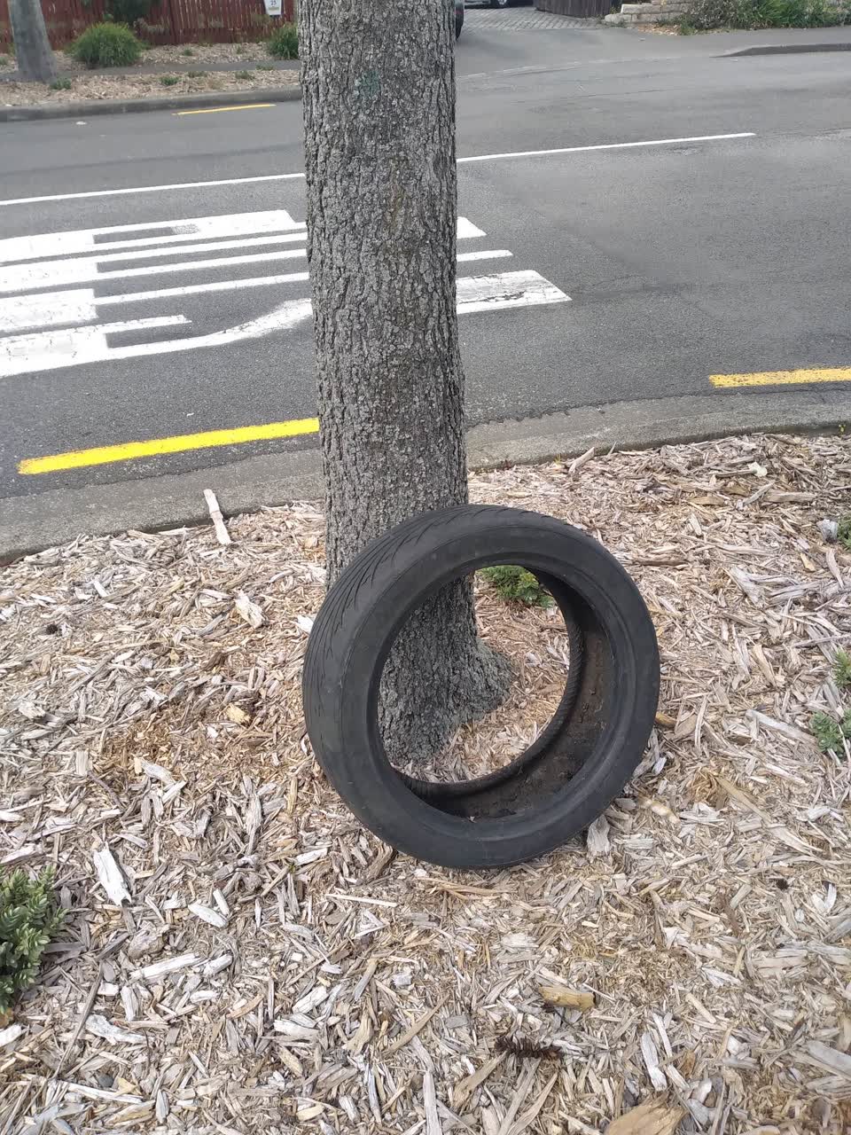 The photograph attached to this rubbish/recycling report