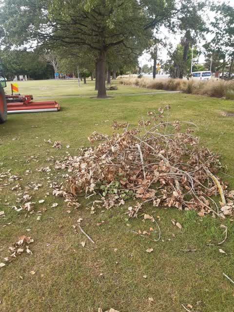 Parks, a report photo