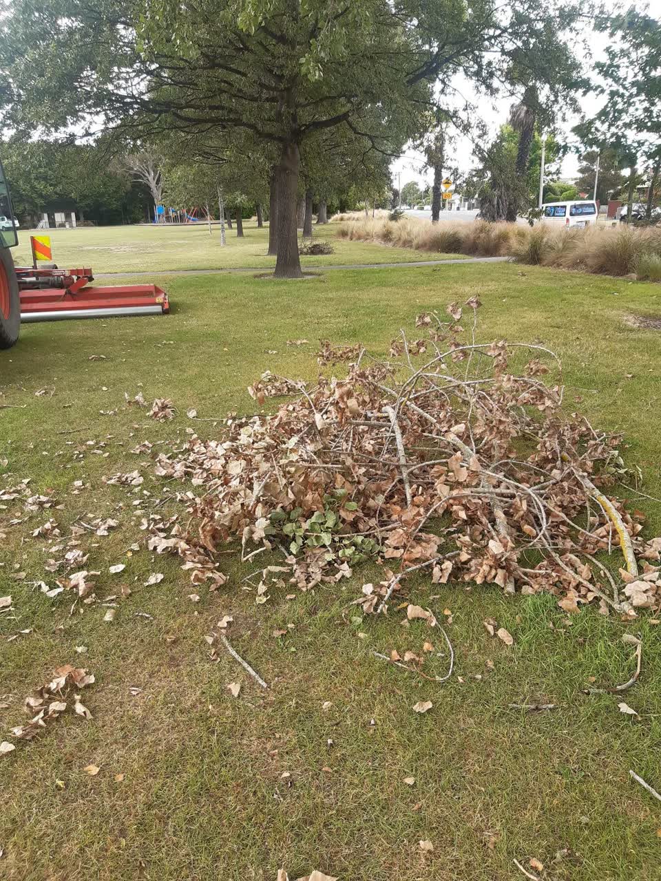The photograph attached to this parks report