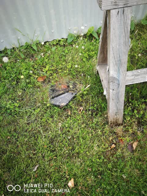 Water Leak, a report photo