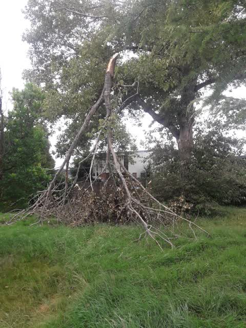 Parks, a report photo