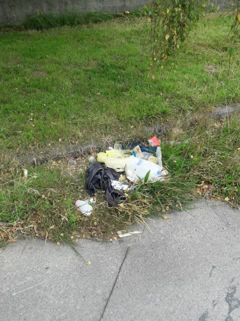 Rubbish/Recycling, a report photo