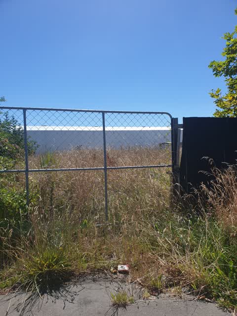 Rubbish/Recycling, a report photo