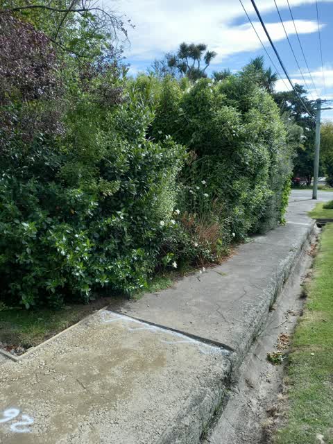 Roading/Streets, a report photo