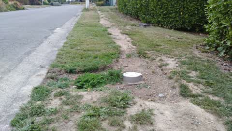 Roading/Streets, a report photo