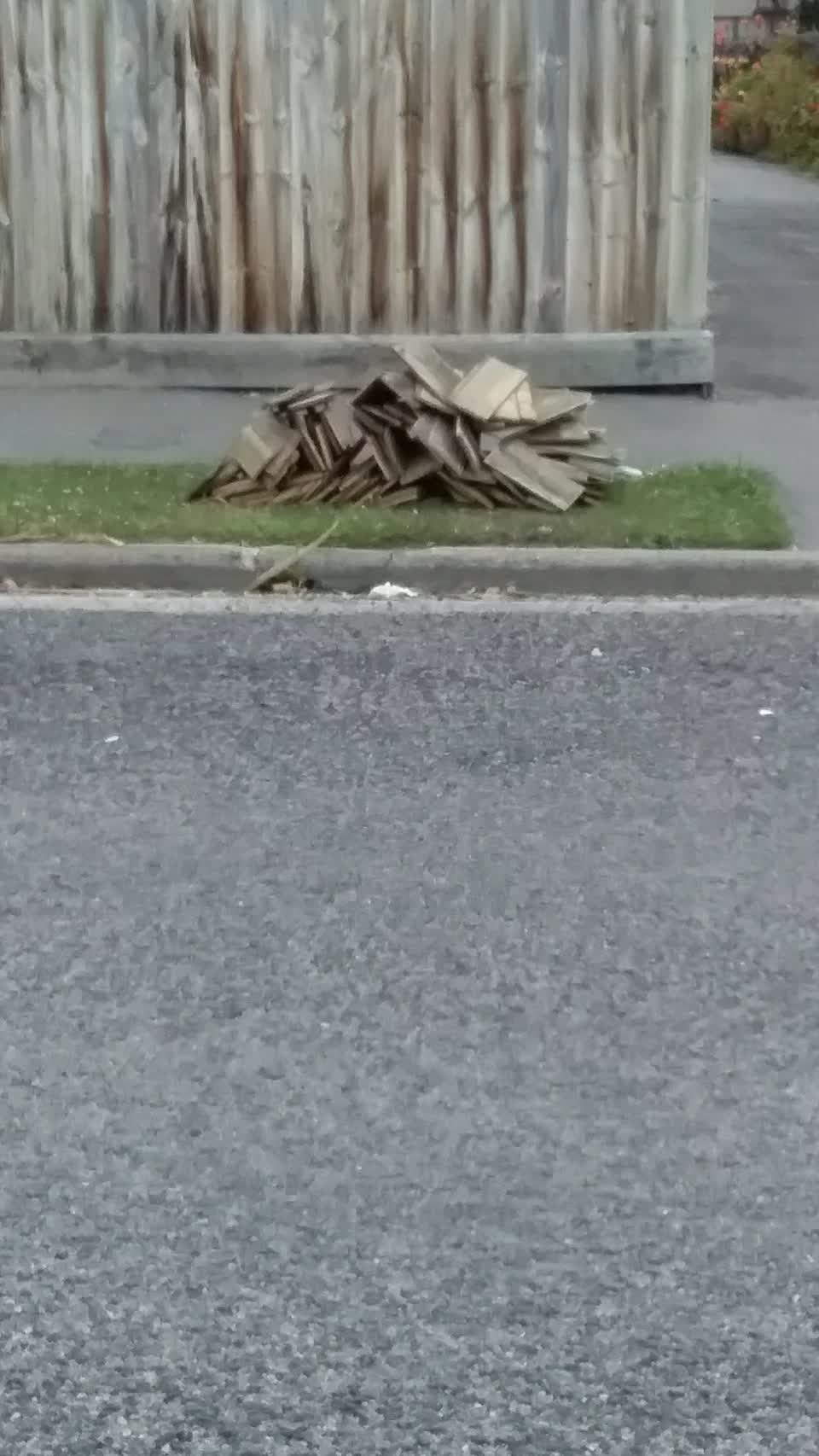 The photograph attached to this rubbish/recycling report