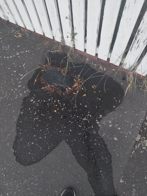 Flooding, a report photo