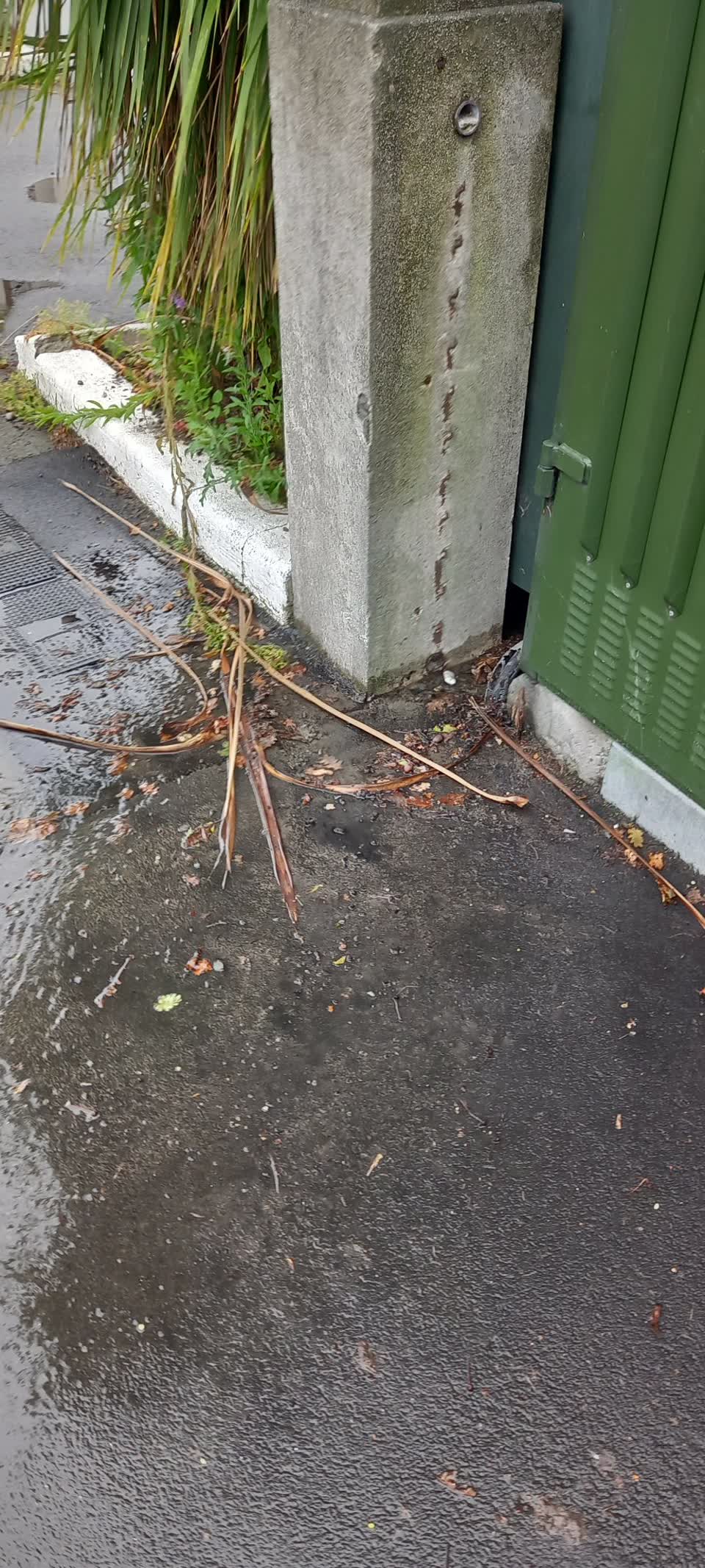 The photograph attached to this water leak report