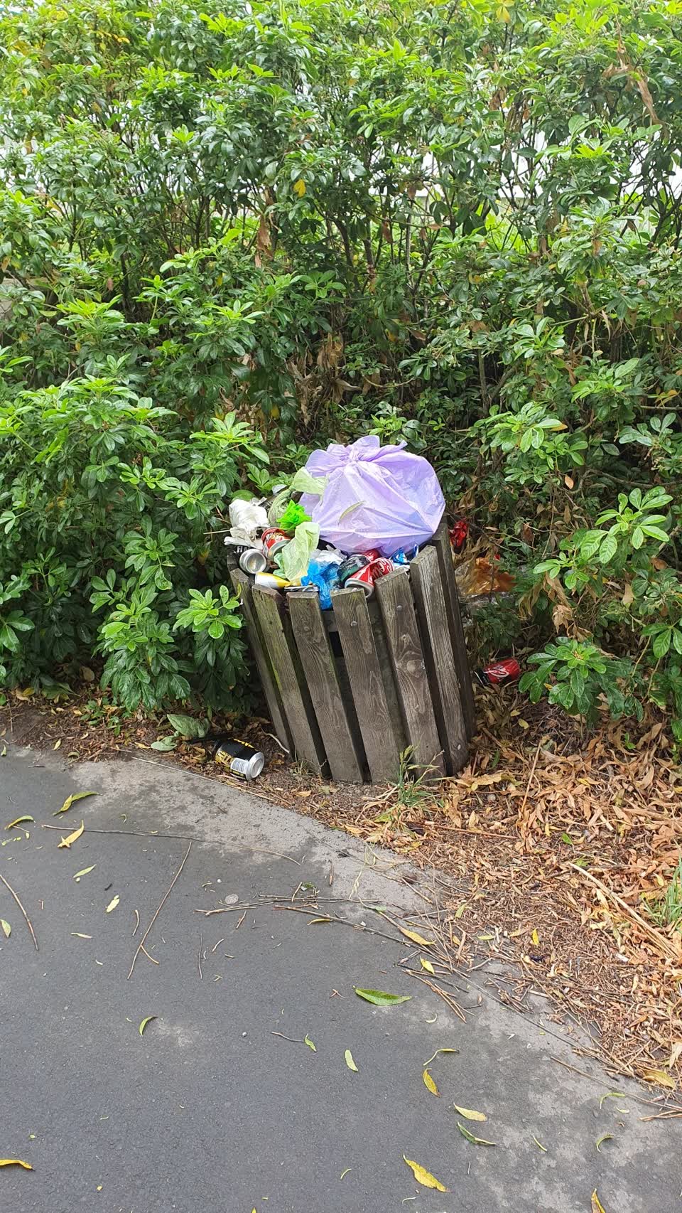 The photograph attached to this parks report