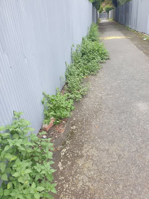 Roading/Streets, a report photo