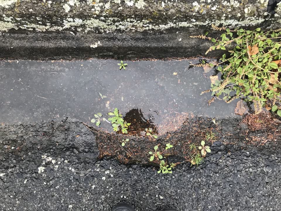 The photograph attached to this roading/streets report