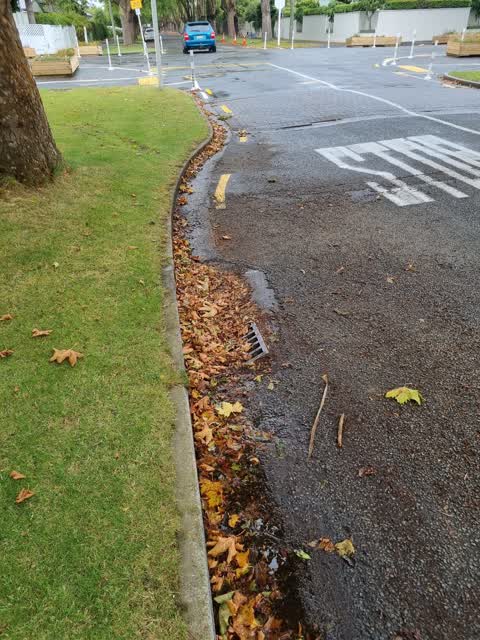 Roading/Streets, a report photo
