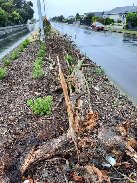 Roading/Streets, a report photo