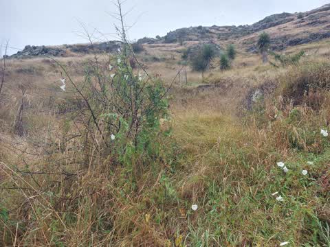 Parks, a report photo