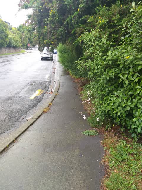 Roading/Streets, a report photo