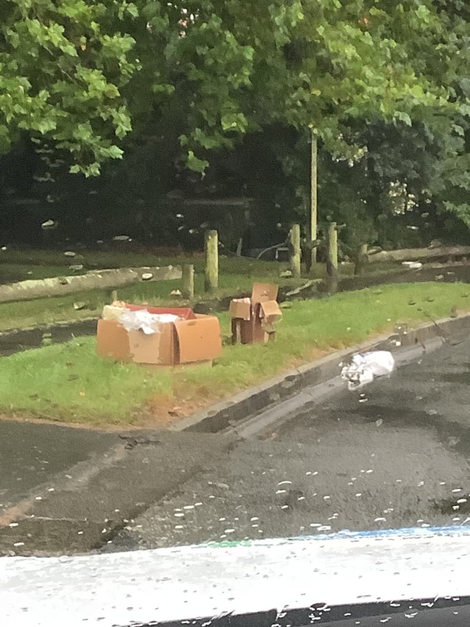 The photograph attached to this rubbish/recycling report