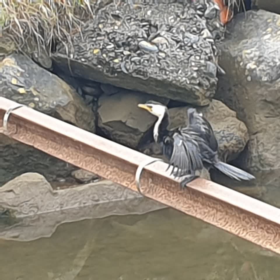 The photograph attached to this water leak report