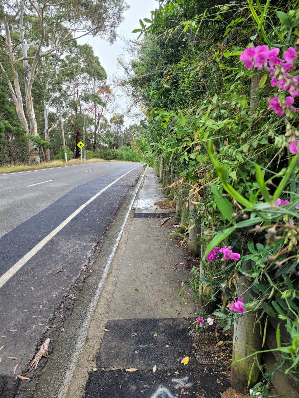 The photograph attached to this roading/streets report