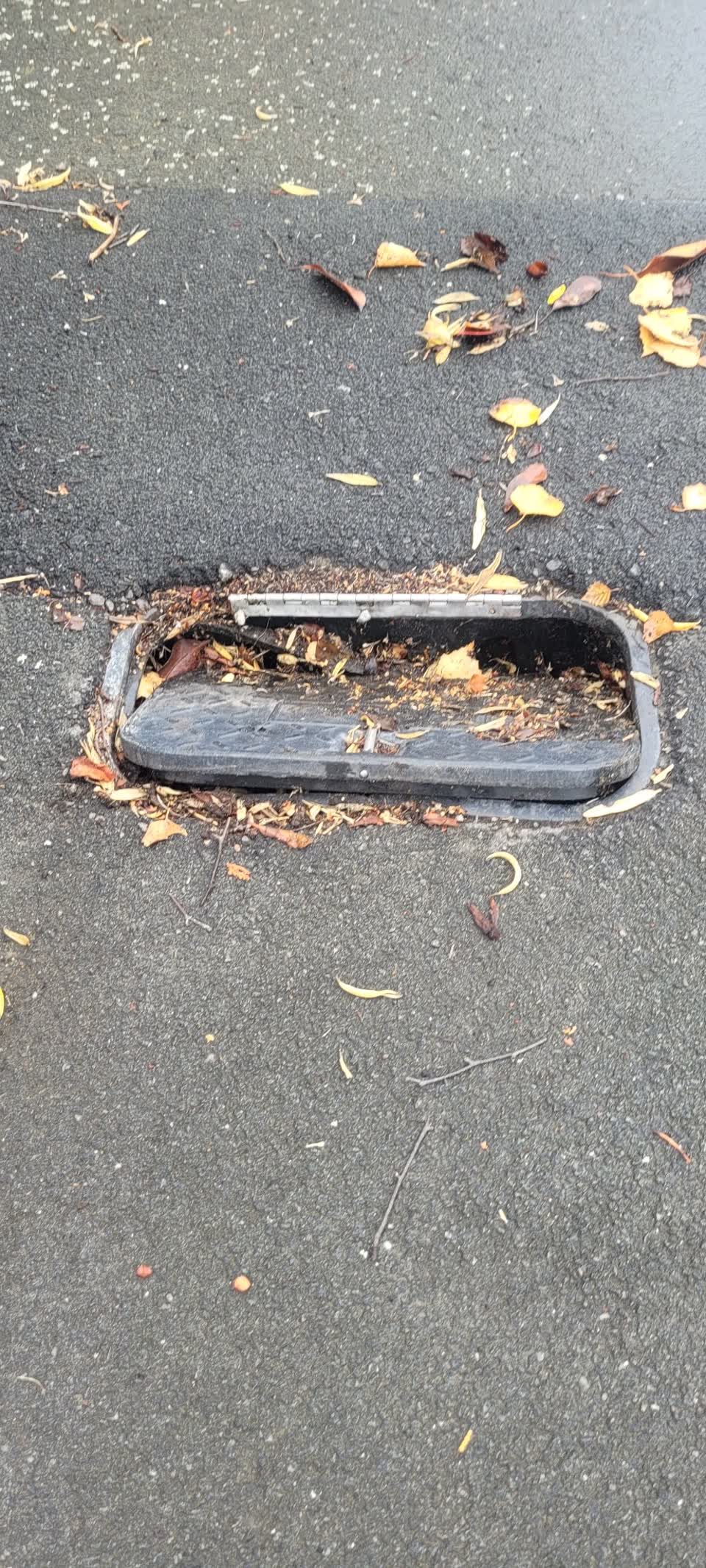 The photograph attached to this water supply report