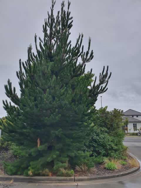 Parks, a report photo