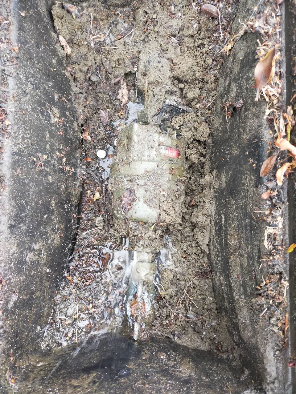 The photograph attached to this water leak report