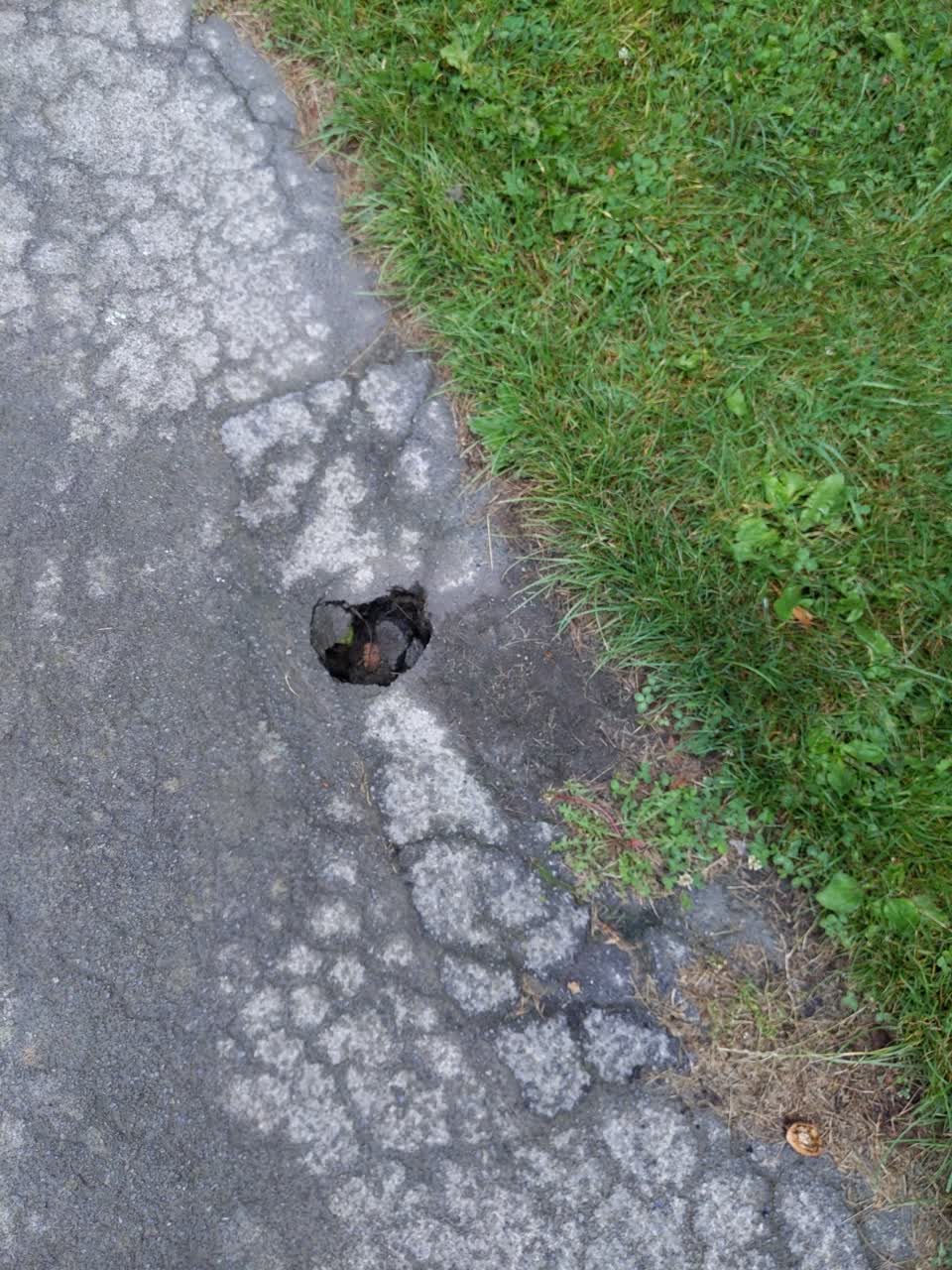 The photograph attached to this parks report