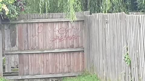 Graffiti, a report photo