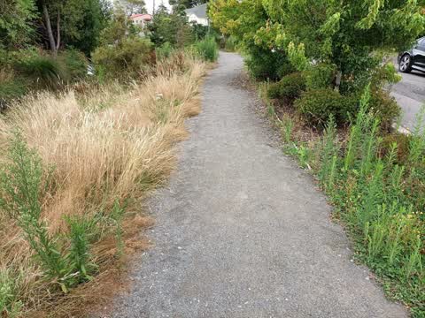 Roading/Streets, a report photo