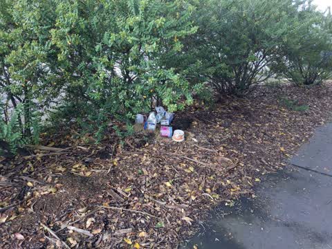 Rubbish/Recycling — a report photo
