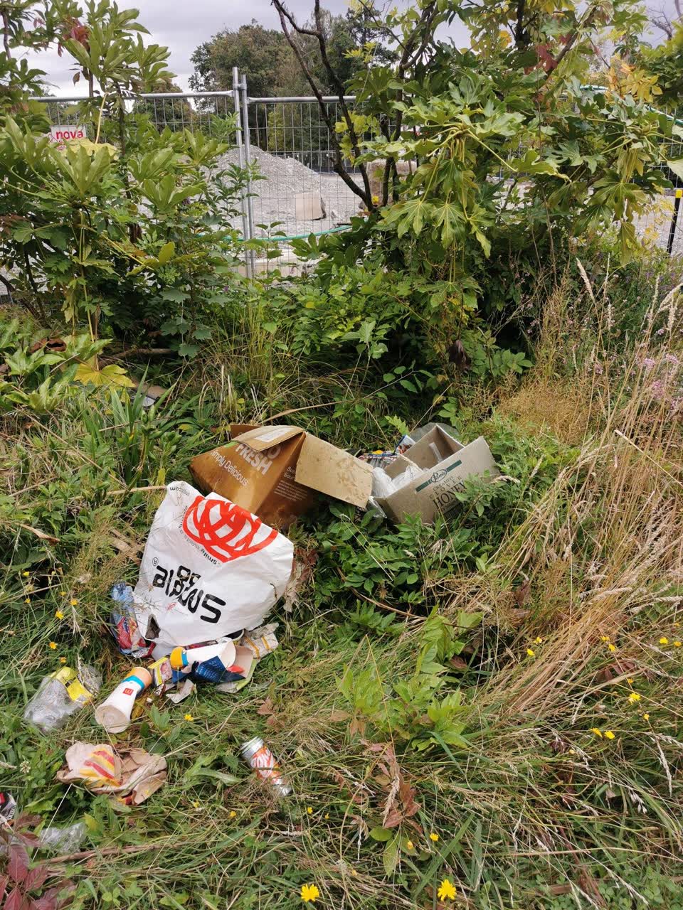 The photograph attached to this rubbish/recycling report