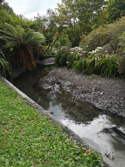 Flooding, a report photo