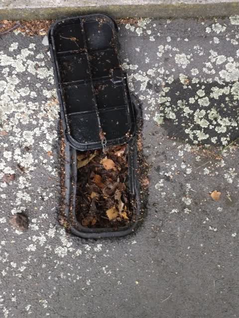 Roading/Streets, a report photo