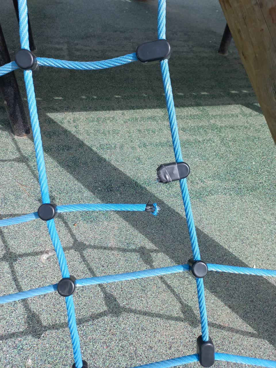 The photograph attached to this parks report