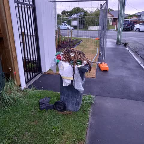 Rubbish/Recycling, a report photo