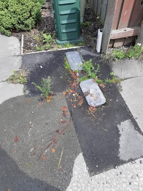 Water Leak, a report photo