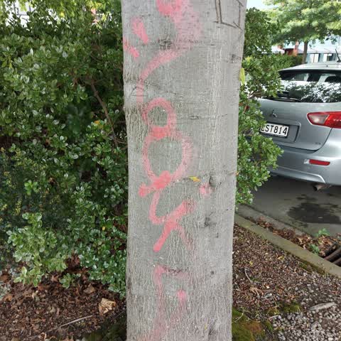 Graffiti, a report photo