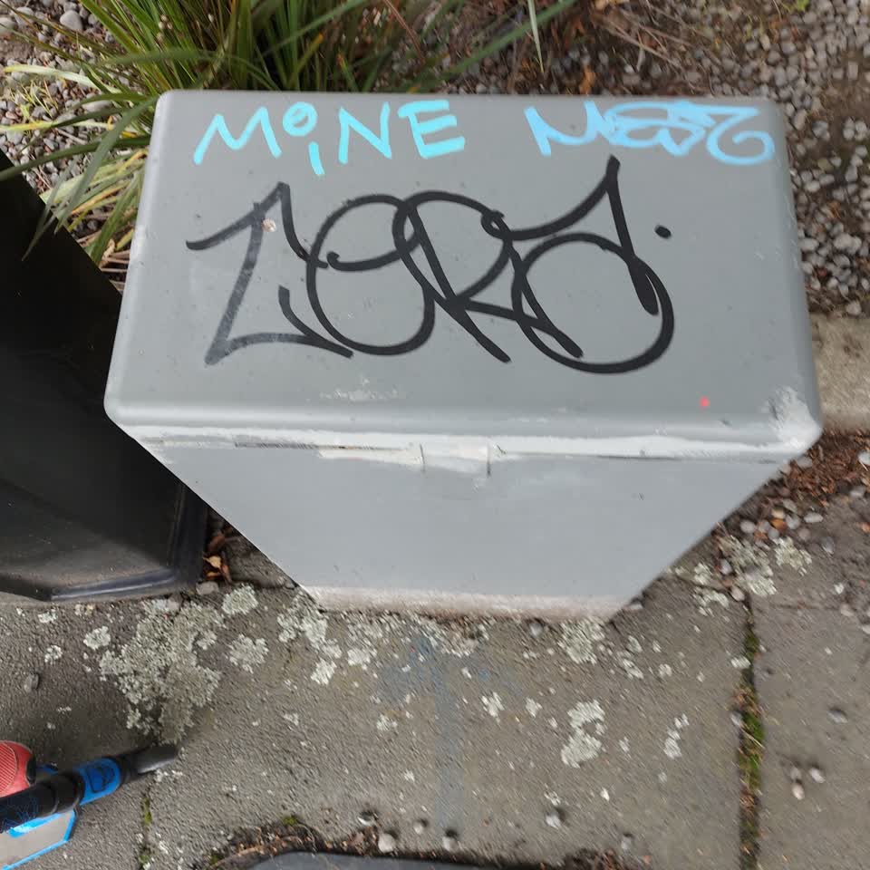 The photograph attached to this graffiti report
