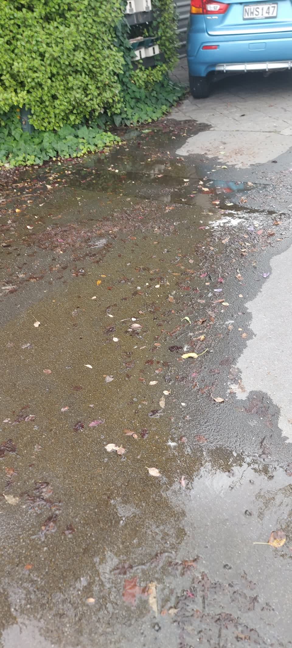 The photograph attached to this water leak report