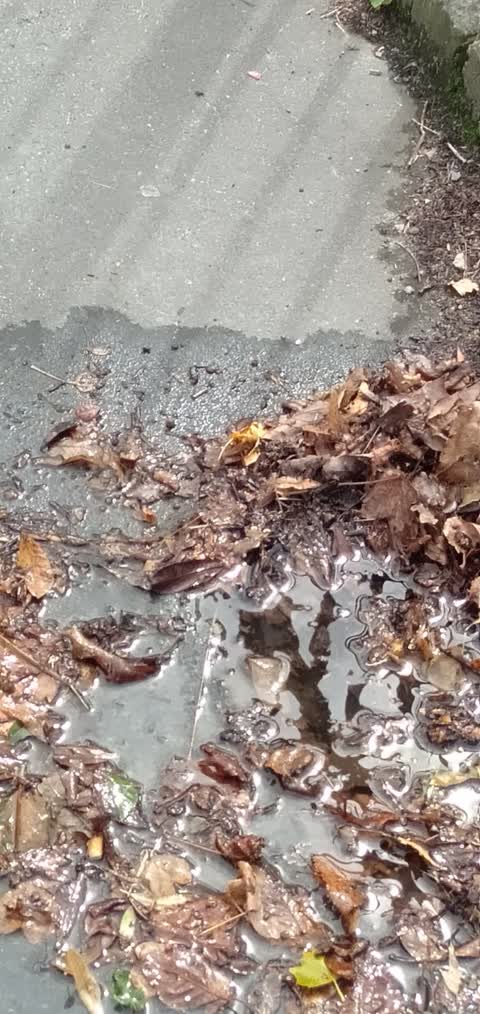 Water Leak — a report photo