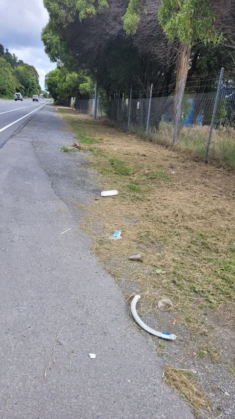 Rubbish/Recycling, a report photo