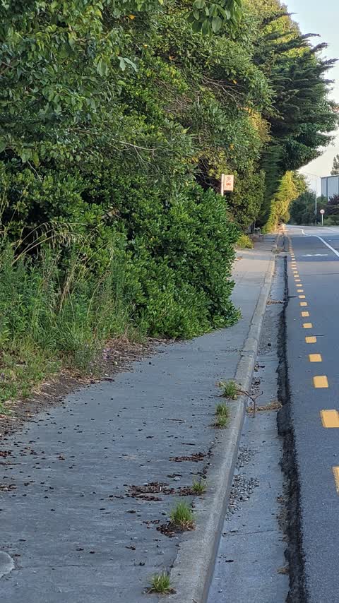 Roading/Streets, a report photo