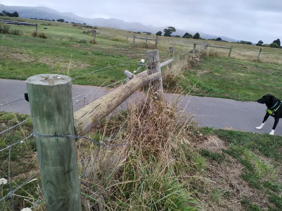 The photograph attached to this parks report