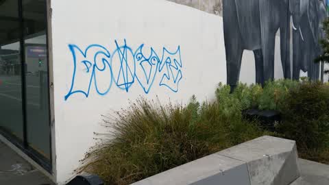 Graffiti, a report photo