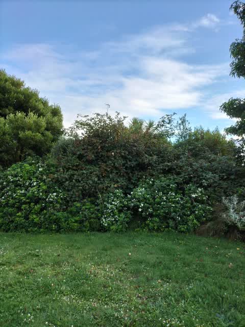 Parks, a report photo