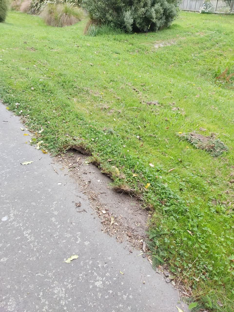 The photograph attached to this parks report