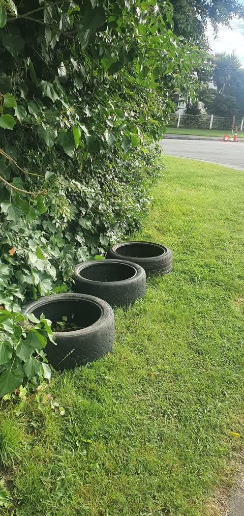 Rubbish/Recycling, a report photo